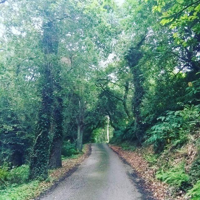 Somavilla Cantabria Bagian luar foto
